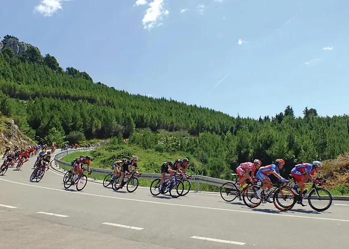 Vukovarska I Makarska